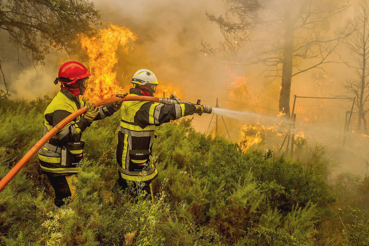 حريق الغابات