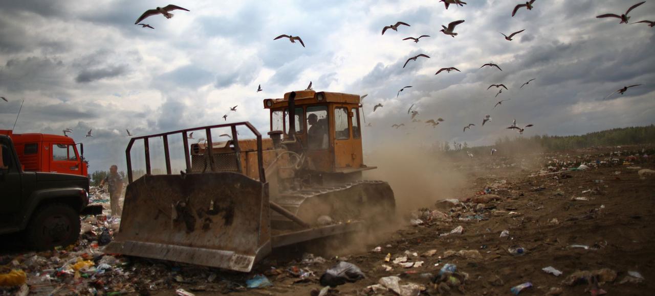 Les tristes mouettes de Tchekhov