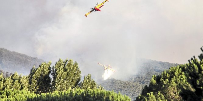 l-incendie-a-pris-d-enorme-proportion-a-cause-de-la-forte_2487832_667x333