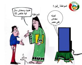 كاريكاتير المواطنة نيوز 20136