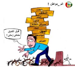 كاريكاتير المواطنة نيوز 212