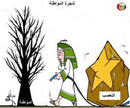 كاريكاتير المواطنة نيوز