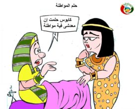 كاريكاتير المواطنة ارت 2010