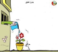 المواطنة نيوز 2018