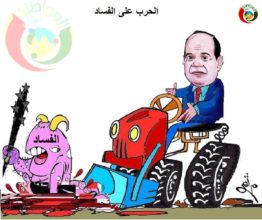 كاريكاتير المواطنة نيوز 452222