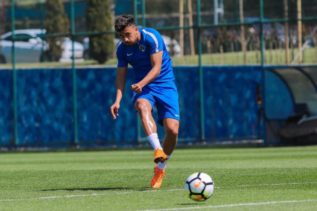 محمود تريزيجيه