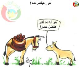 كاريكاتير المواطنة 522