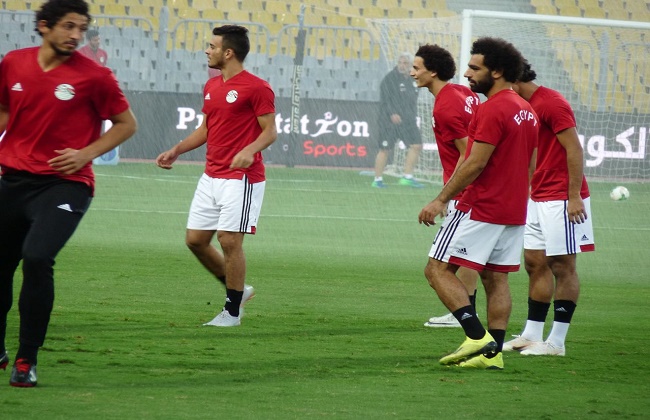 تدريب المنتخب