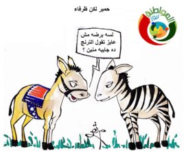 كاريكاتير المواطنة نيوز 20
