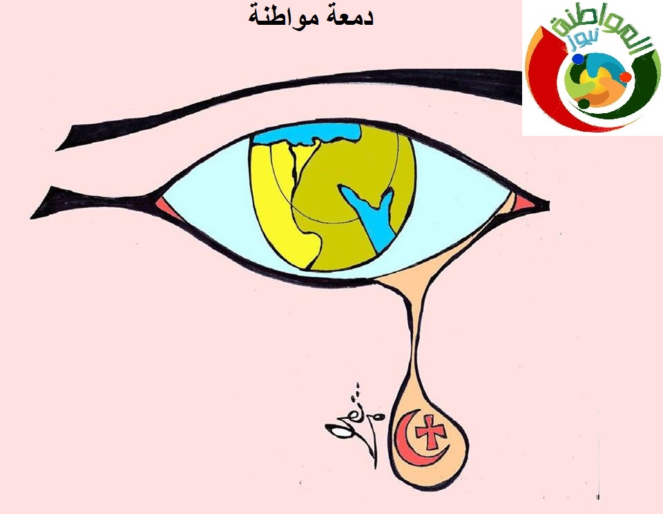 كاريكايتر المواطنة نيوز 523