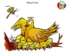 كاريكاتير المواطنة نيوز 2019