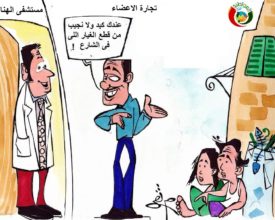 كاريكاتير المواطنة نيوز 20193