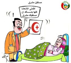 كاريكاتير المواطنة نيوز 2019