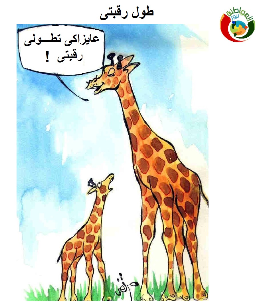 كاريكاتير المواطنة نيوز 32635
