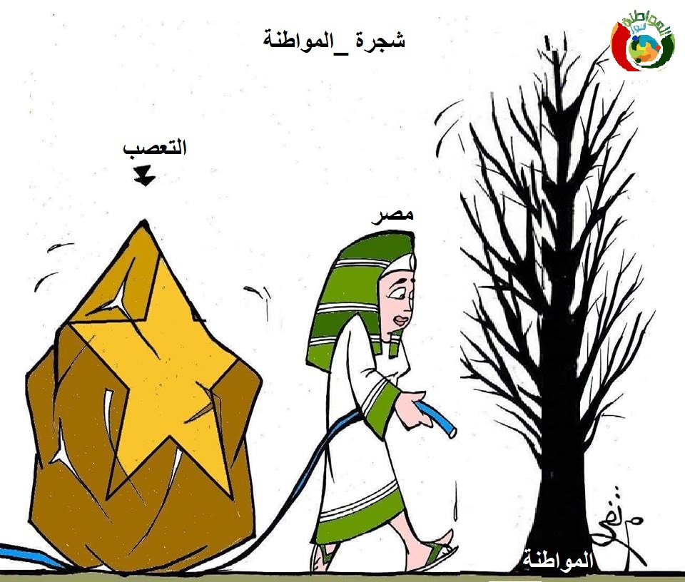 كاريكاتير المواطنة نيوززز 12