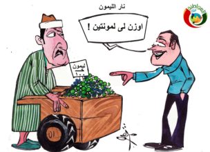 مواطنة نيوز 236