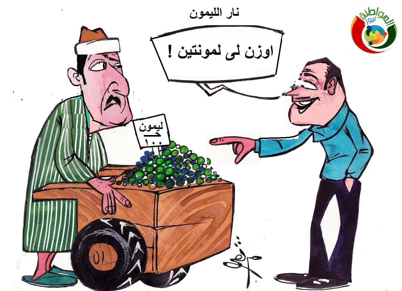 مواطنة نيوز 236