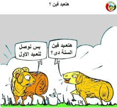 كارتون المواطنة 1