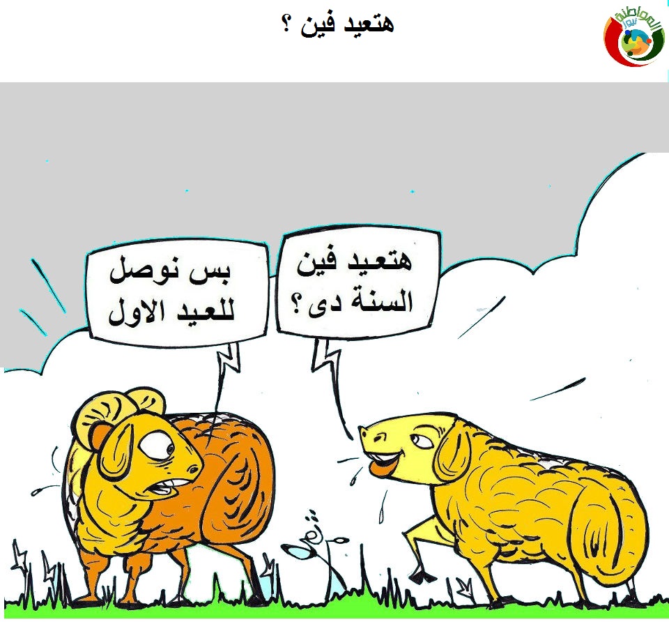 كارتون المواطنة 1