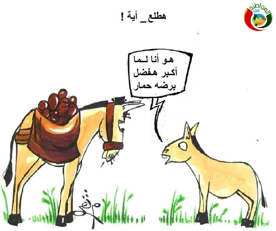 كارتون المواطنة 53698