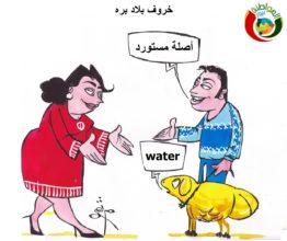 كارتون المواطنة نيوز 52856