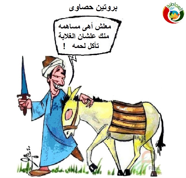 كارتون مواطنة نيوز 56