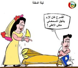 كارتون مواطنة نيوز 59