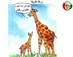 كاريكاتير المواطنة 2012