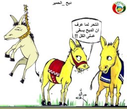 كااريكاتير المواطنة نيوز 2