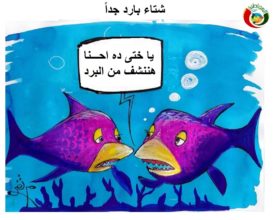 كاريكاتير المواطنة نيوز