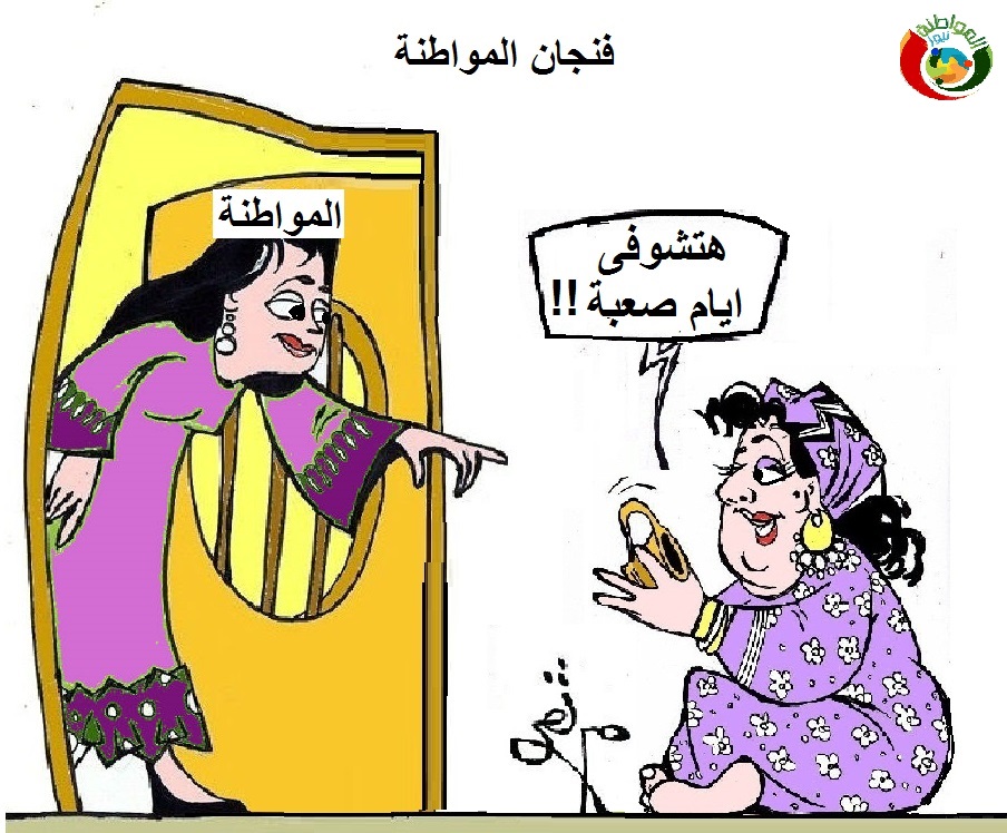 كاريكاااتير المواطنة
