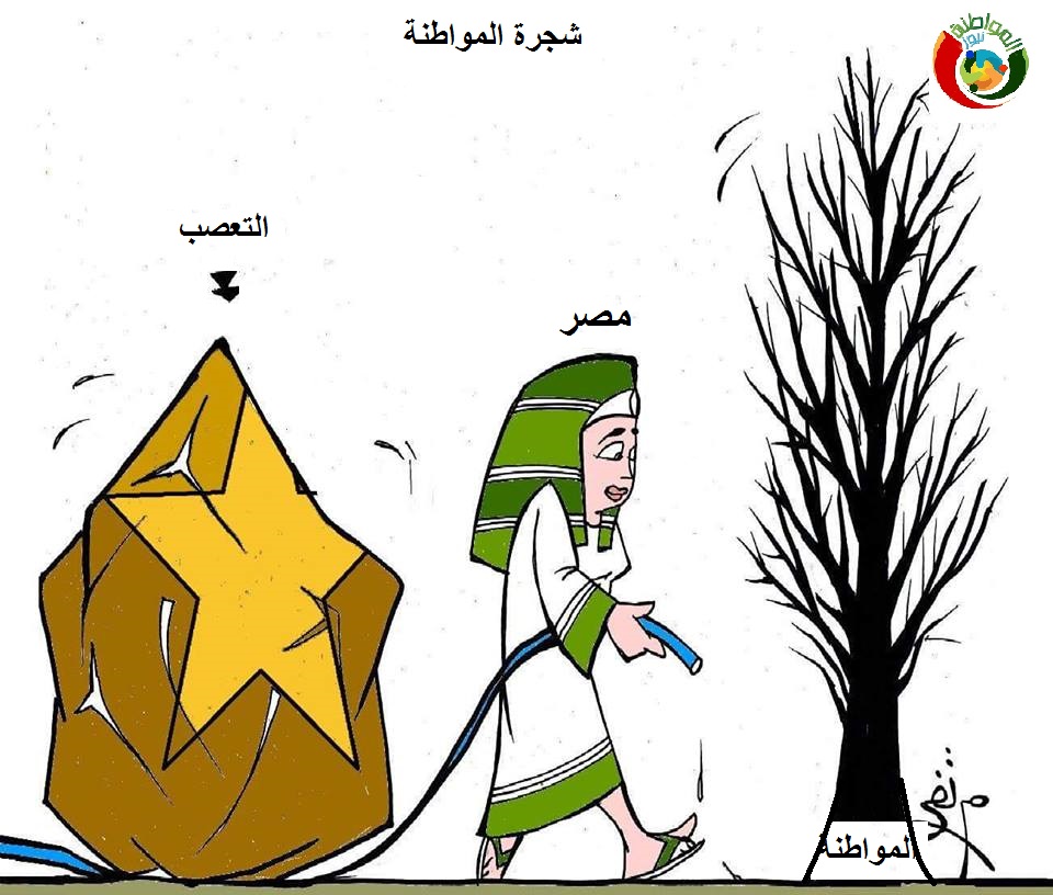 كاريكاتير المواطن نيوز 452