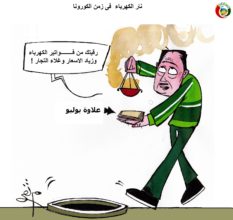 كاريكاااتير المواطنة نيوز