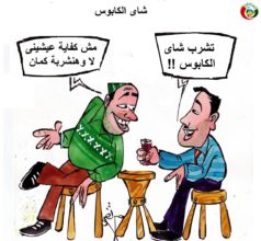 كاريكاااتير المواطنة نيوز 452