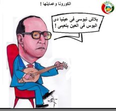 كاريكاتير المواطنة نيوز 2012