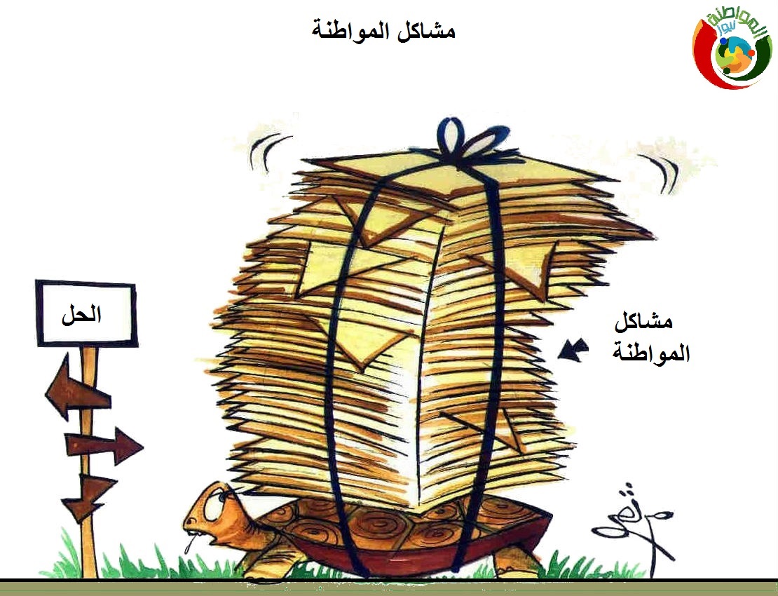 كاااريكاتير المواطنة نيوز