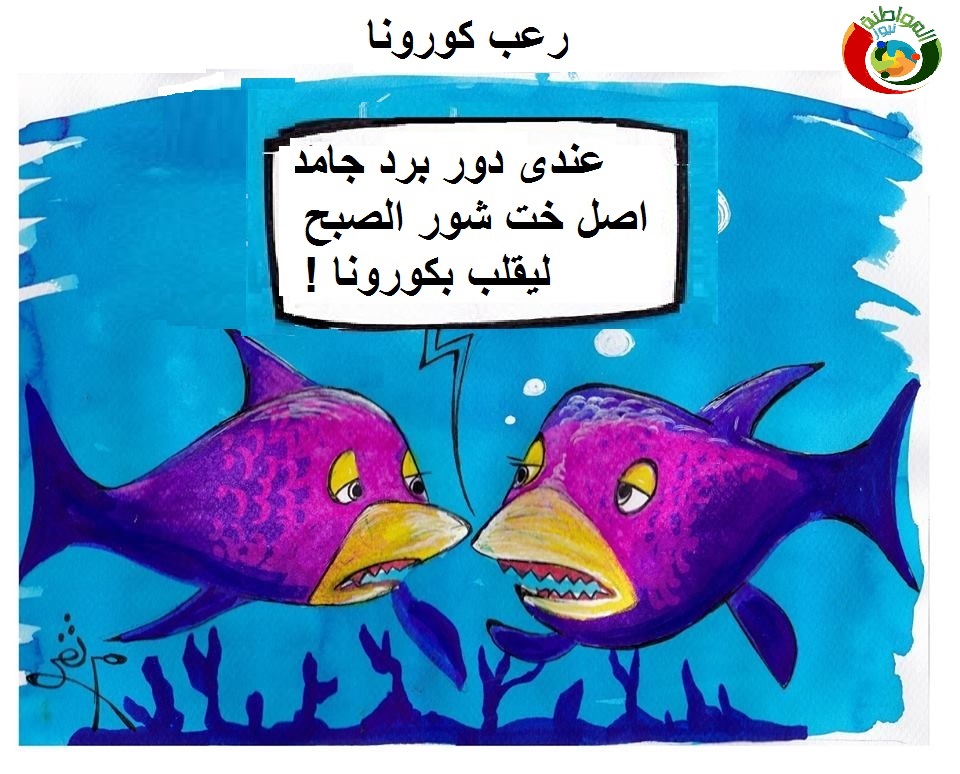 كاريكاتير مواطنةنيوز 21