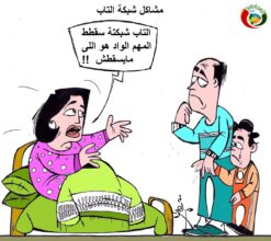 المواطنة