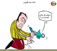 المواطنة