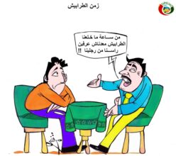 المواطنة