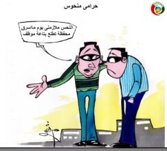 المواطنة