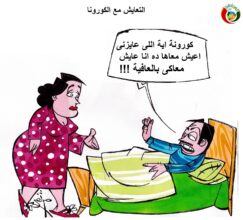 المواطنة