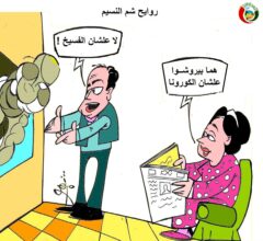 المواطنة