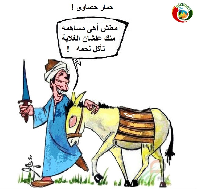 المواطنة