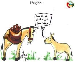 ااالمواطنة