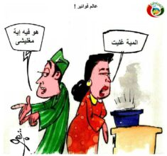 المواطنة