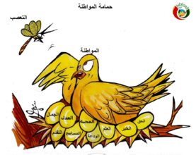 المواطنة