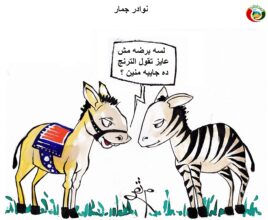 المواطنة