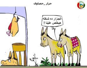 المواطنة