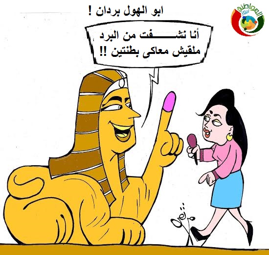مواطنة
